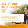 Glucosamin -Chondroitin -Joint -Unterstützung MSM -Kapseln für Männer